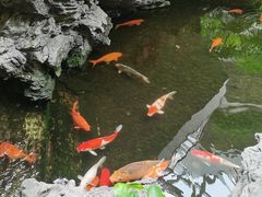 -白天鹅宾馆-宏图府餐厅