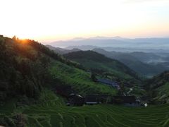 -紫鹊界梯田景区
