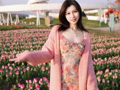 -荷兰花海