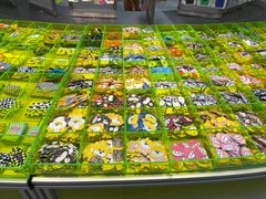 -HOWOW·D2Y(柏威年店)