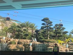 -珠海长隆海洋王国