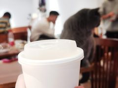 -有猫主题·治愈系猫咖(曾厝垵店)
