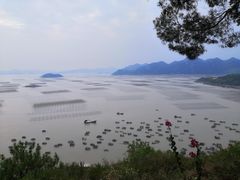-小皓村