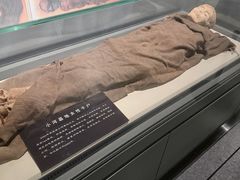 -巴音郭楞蒙古自治州博物馆