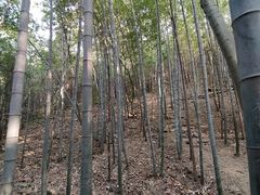-穹窿山景区