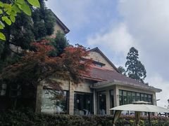 -莫干山风景区