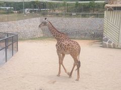 -泉州海丝野生动物世界