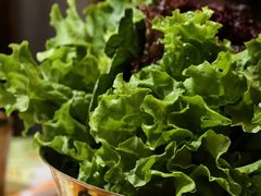 -炭之家齐齐哈尔大片烤肉·涮毛肚火锅·齐齐哈尔烤肉(中央大街店)