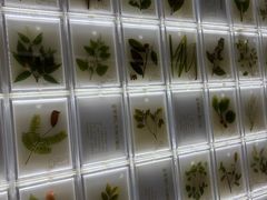 -广东中医药博物馆