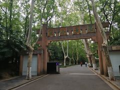 -灵谷景区