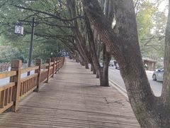 -潜山国家森林公园