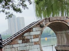 -青枫公园