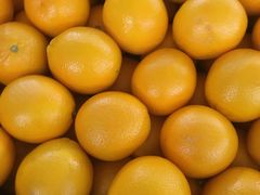 -江杨农产品批发市场