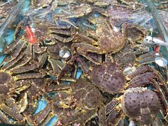 -渔民新村(番禺总店)