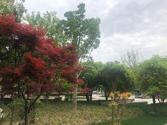 -苏州金鸡湖大酒店