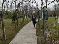 -上海长兴岛郊野公园