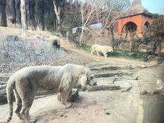 -杭州野生动物世界