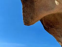 -大泽山风景名胜区