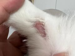 -美联众合动物医院·24h京西诊疗中心