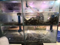 -建水兄弟鸡脚王烧烤(水岸艺城店)