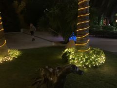 -三亚湾海居铂尔曼度假酒店