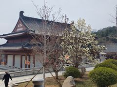 -横山寺