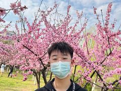 -堤角公园