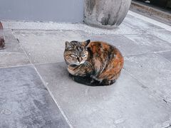 -龙华寺