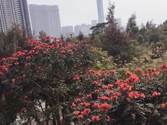 -狐尾山公园