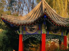 -燕郊植物园