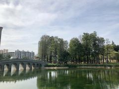 -四海公园(南山区)