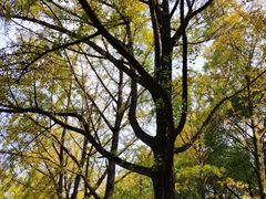 -钟山体育运动公园