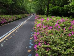 -临平公园(临平街道)