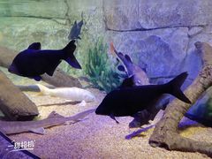 -沈阳海洋探索中心