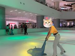 -TheRink大零溜冰场(IFS国金中心店)