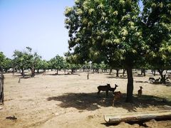 -西安秦岭野生动物园