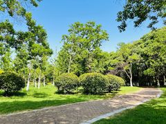 -贡湖湾湿地公园