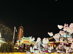 -常熟方塔园