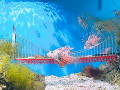 -太平洋海底世界