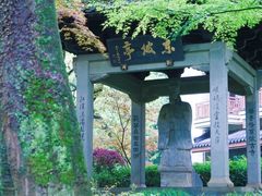 -杭州花家山庄