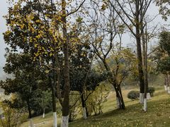 -三岔湖环球融创天堂洲际酒店水乐园