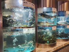 -老船舫·现做活鲜鱼馆(东郊记忆店)