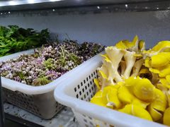-静和鱼庄
