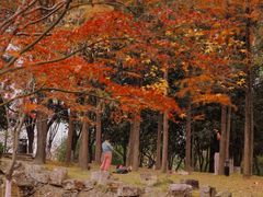 -月湖风景区