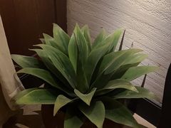 -紫莲花足道(柯桥古镇店)