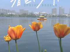 -莫愁湖公园