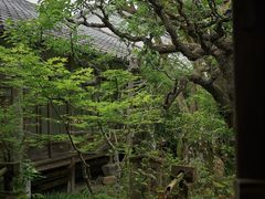 -三千院