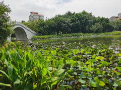 -映月湖公园