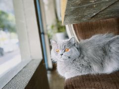 -塔拉苏咖啡(中信丹阳花园店)