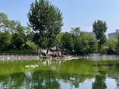 -莲湖公园